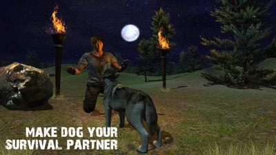 荒野逃生,绝境求生者的生存智慧与勇气之旅