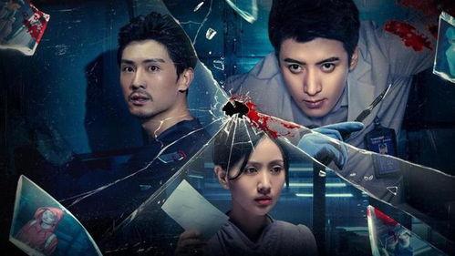 法医秦明之雨中协奏曲