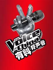 有料好声音,探寻音乐的魅力与力量